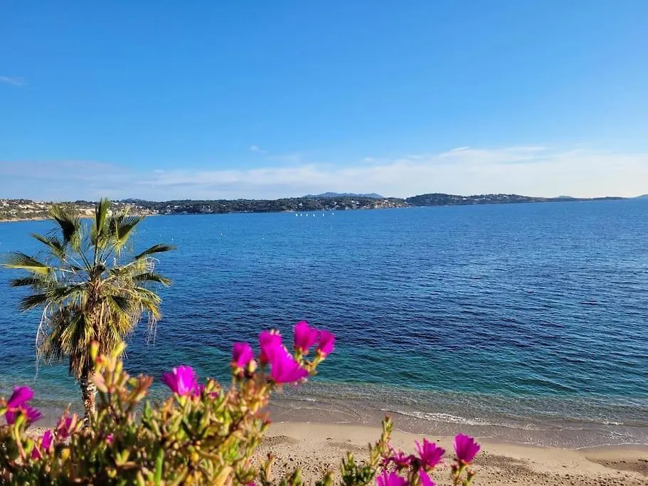 T3 Bandol Vue Mer - Les Pieds Dans L'Eau Francja